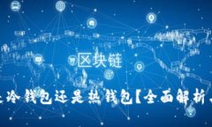  TP钱包：是冷钱包还是热钱包？全面解析与应用