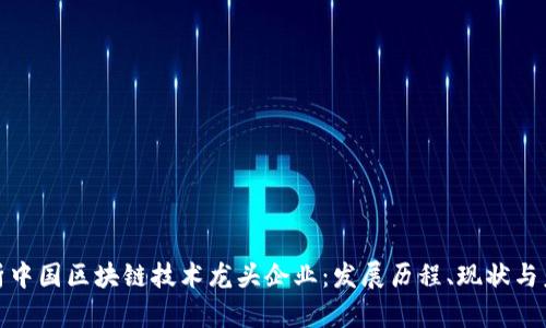 全面解析中国区块链技术龙头企业：发展历程、现状与未来机遇