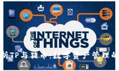 全面解析TP与猪币：数字资产管理的新趋势